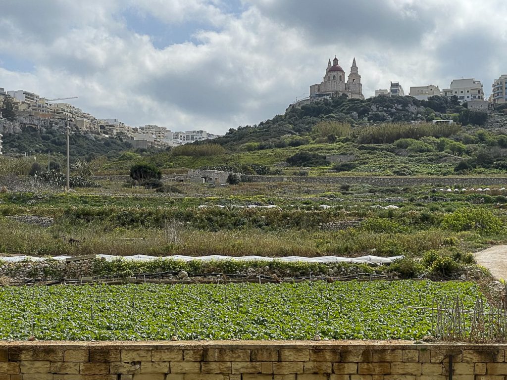 Seaside Apartments Malta MEllieha 1 - country view