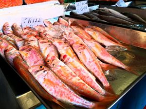 fish display at marsaxlokk
