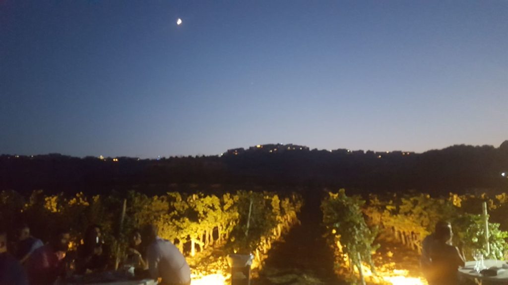 Wine Tasting Malta at Marsovin's Wine Estate in Gozo 