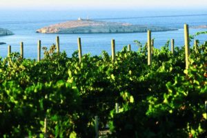 Cheval Franc Estate over looking St Pauls bay